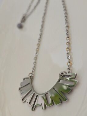 Stainless Steel Necklace.